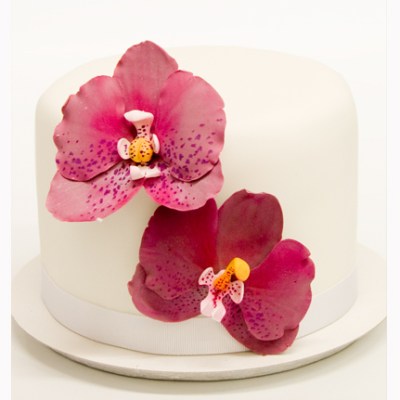 Regalito de Reyes para&nbsp;ti